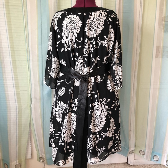 A.P.N.Y. Adorable dress!  Women's sz 20! - Picture 2 of 4